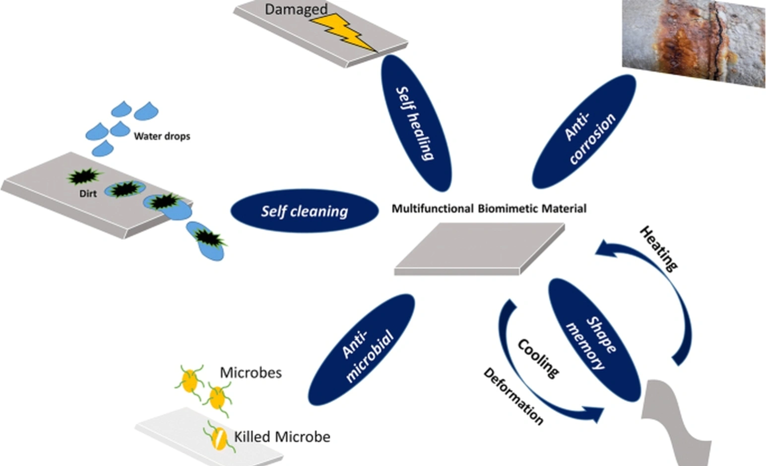 Biomimetic strategy workshop
