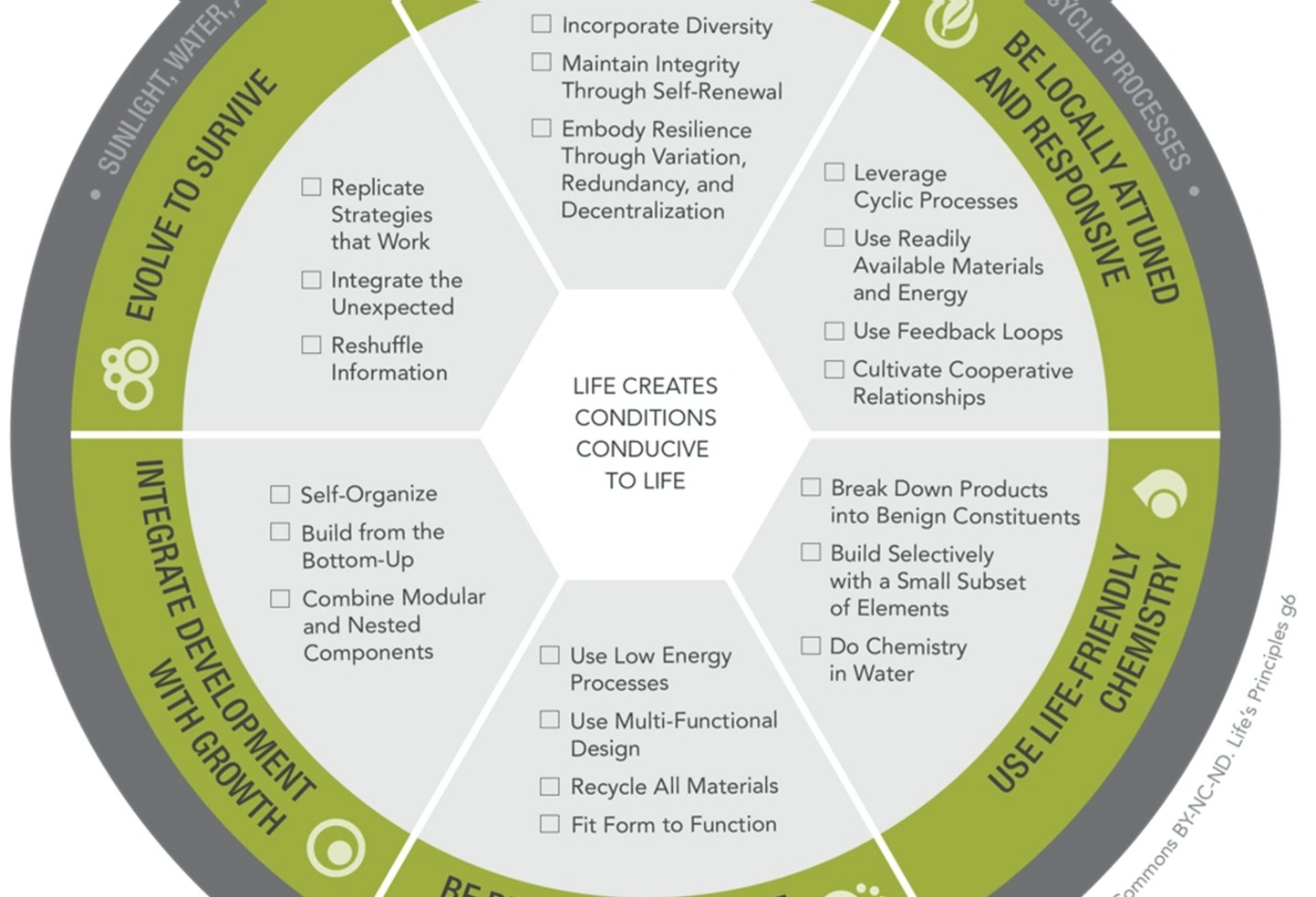 Professional biomimicry training