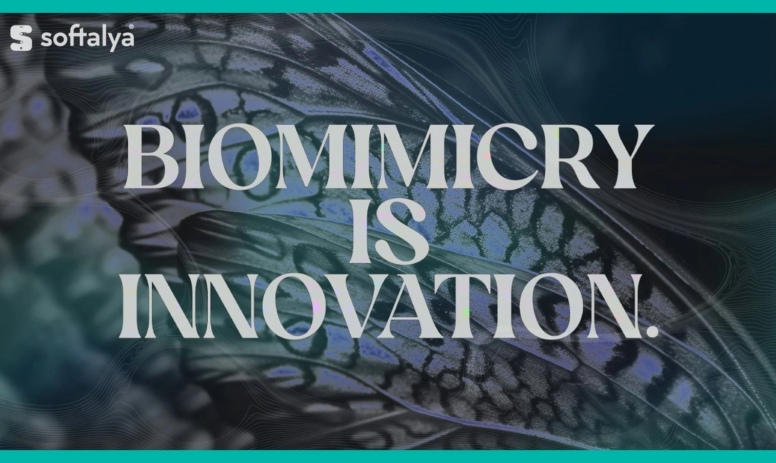 Corporate biomimicry training